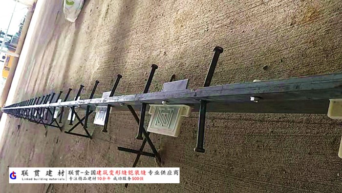 肇庆市铠甲缝施工案例